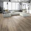 Inwood Baden Floorlife XL laminaat - Afbeelding 2