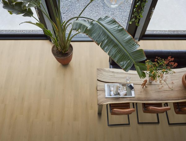 CL Merel light oak 7613 Plaza collectie FL PVC vloer - Afbeelding 5