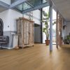 CL Nora dark oak Plaza collectie FL PVC vloer - Afbeelding 2