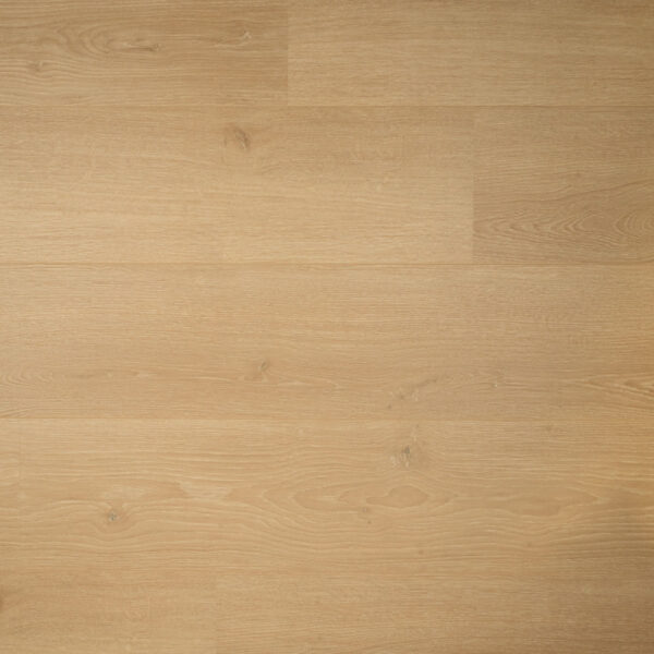 Brede plank Kamille Douwes Dekker XL laminaat