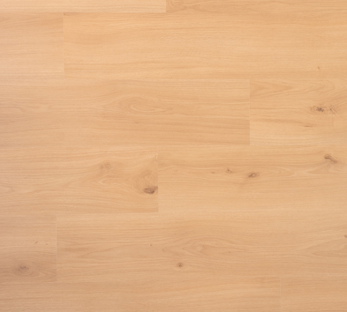 Plank Dragon Douwes Dekker laminaat