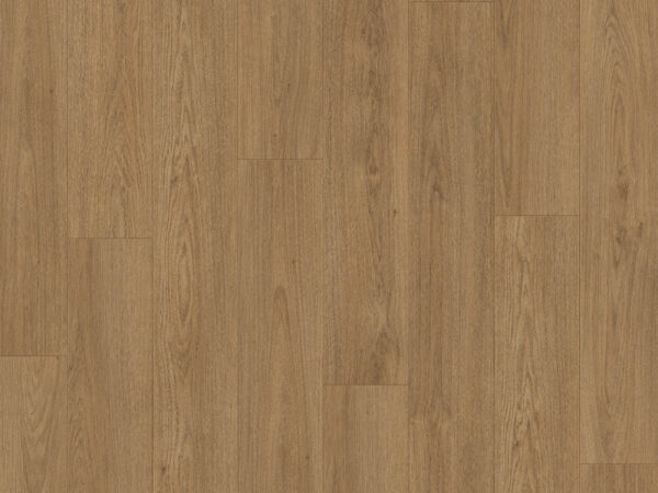 Brede plank Olijf Douwes Dekker XL laminaat