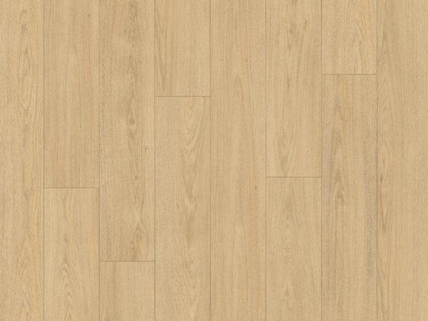 Brede plank Truffel Douwes Dekker XL laminaat