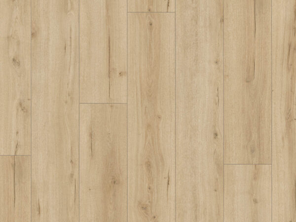 Brede plank Vijg Douwes Dekker XL laminaat