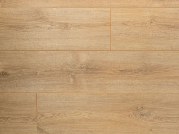 Extra lange plank Basilicum Douwes Dekker XL laminaat