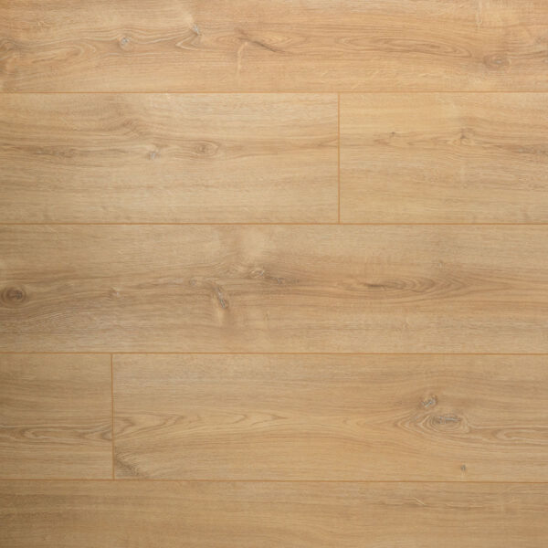 Extra lange plank Basilicum Douwes Dekker XL laminaat