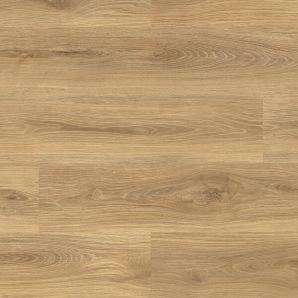 Plank Wasabi Douwes Dekker XL laminaat