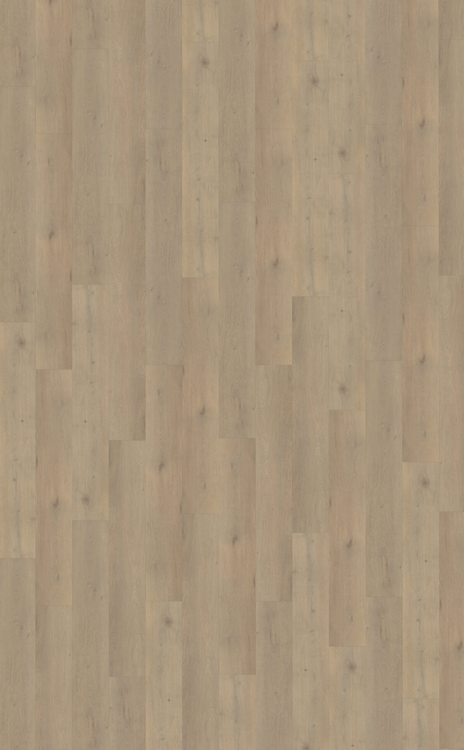 DB Attico 860 Belakos PVC vloer - Afbeelding 3