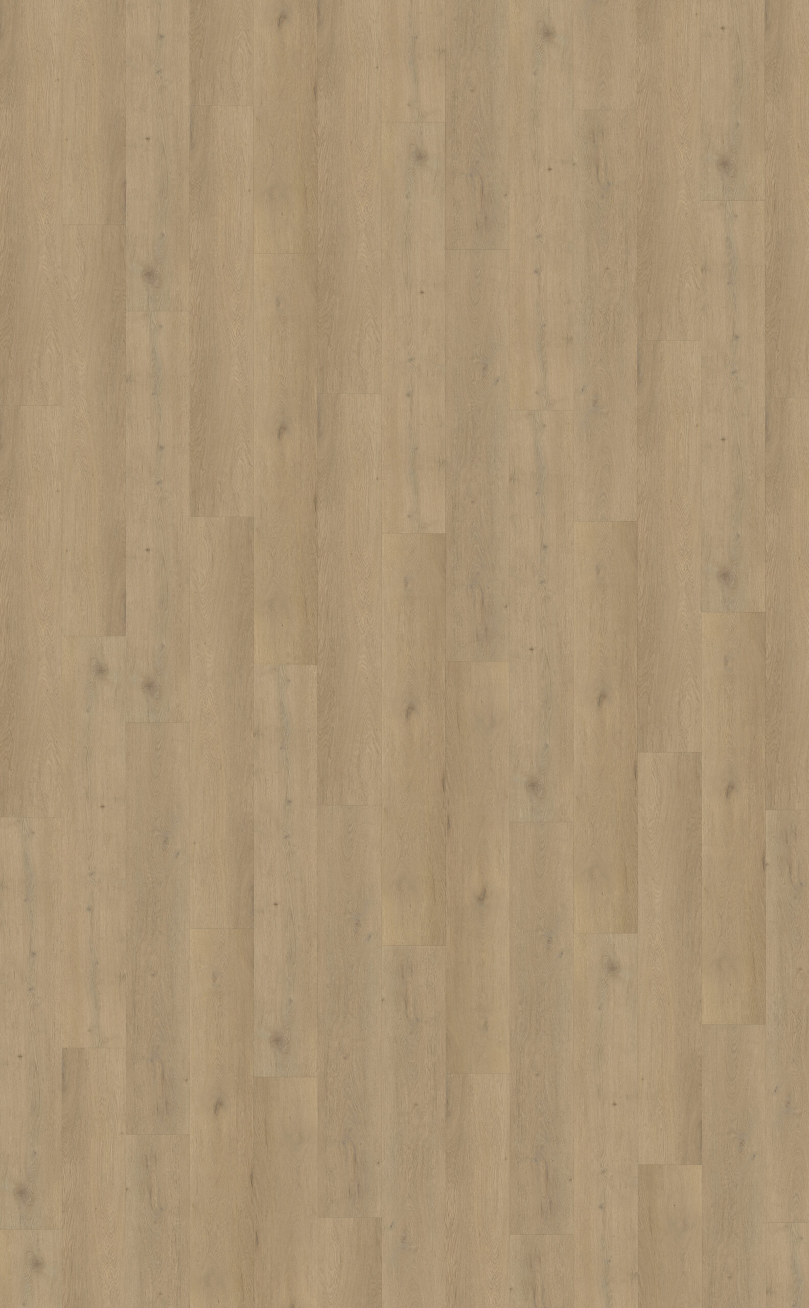 DB Attico 870 Belakos PVC vloer - Afbeelding 3