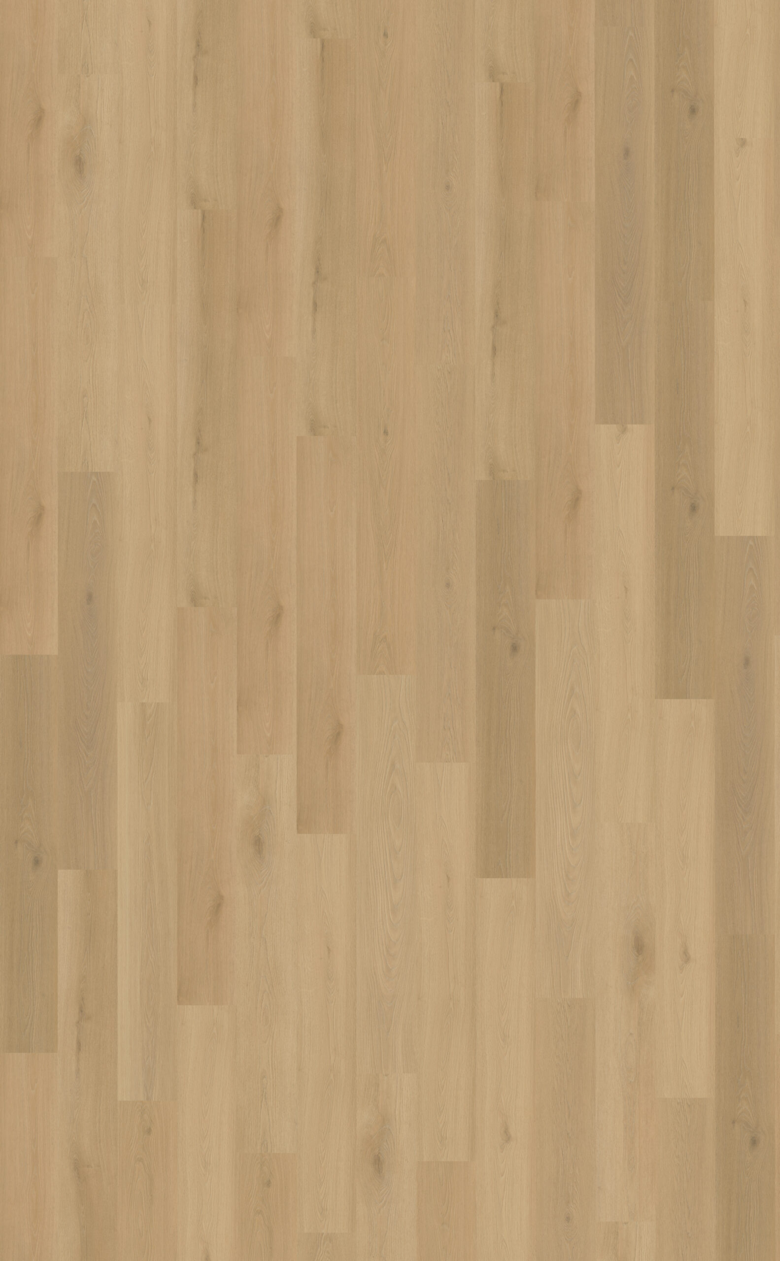 DB Bonni 003 Plaza collectie Bel PVC vloer - Afbeelding 3