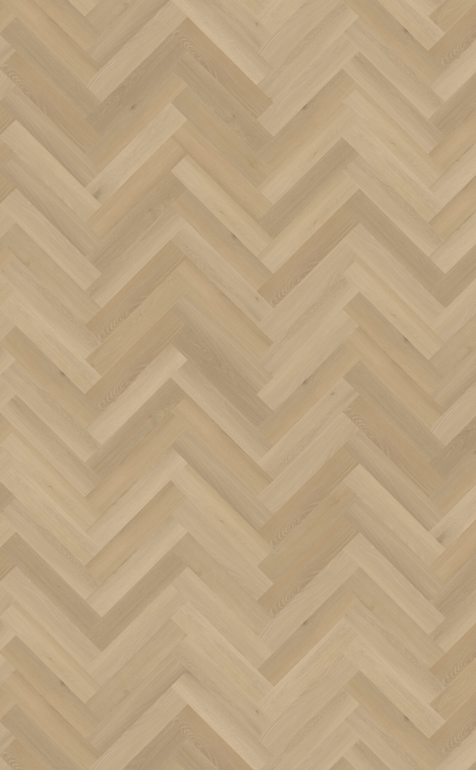 CL Borgo visgraat XL 31 Belakos visgraat PVC - Afbeelding 3