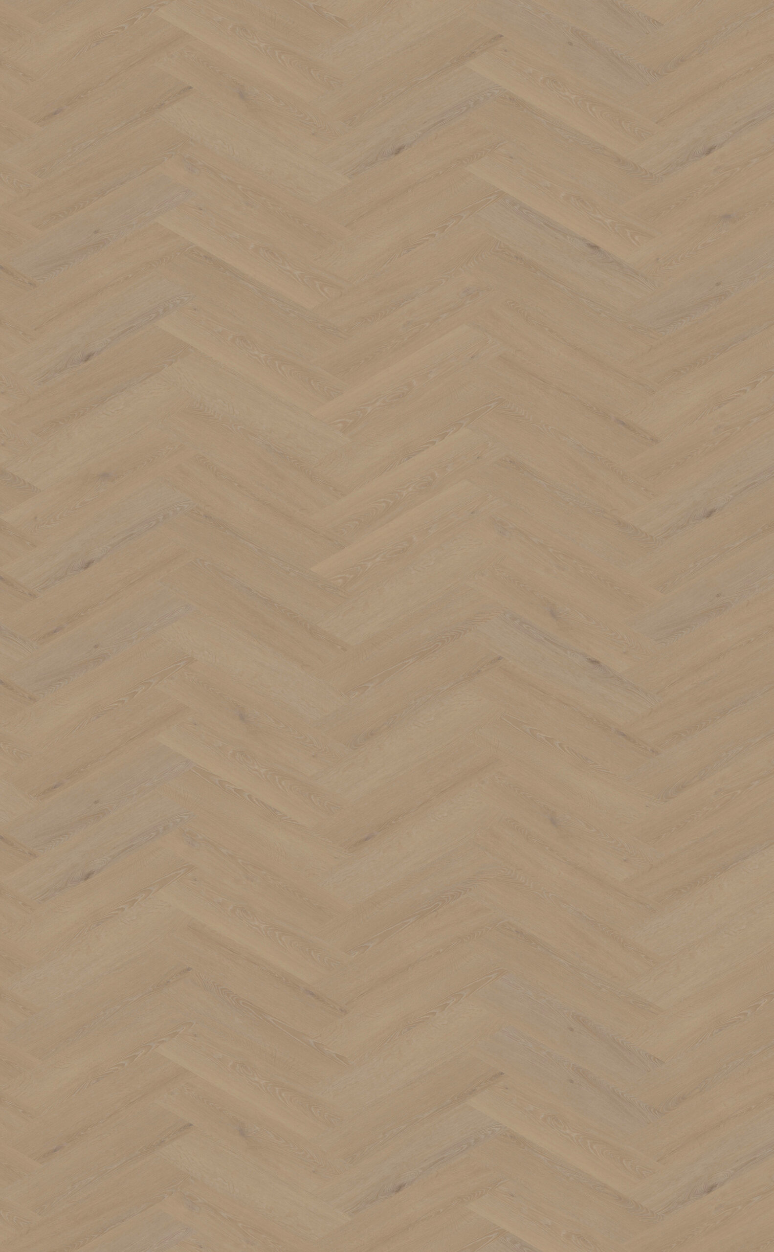 DB Cerri Hongaarse punt | Weense punt 12 Plaza collectie Bel Hongaarse punt PVC - Afbeelding 4