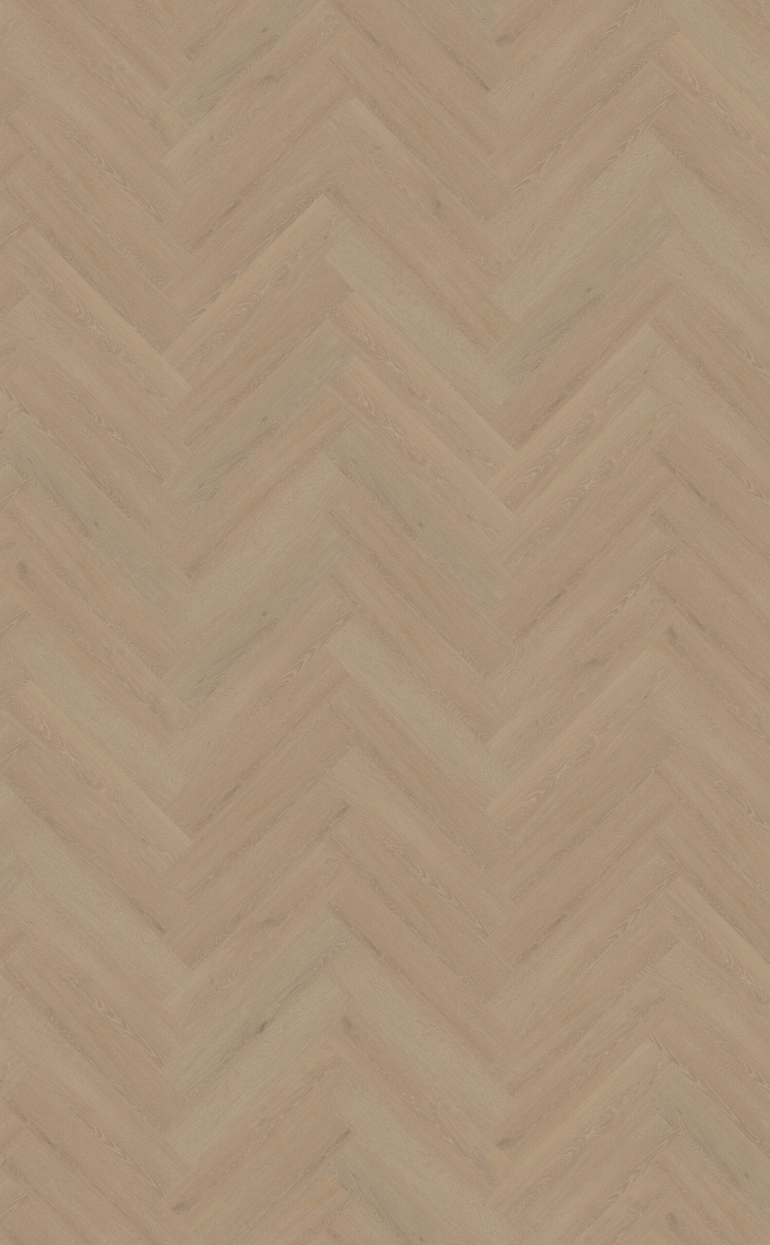 DB Cervo Walvisgraat W21 Belakos walvisgraat PVC - Afbeelding 2